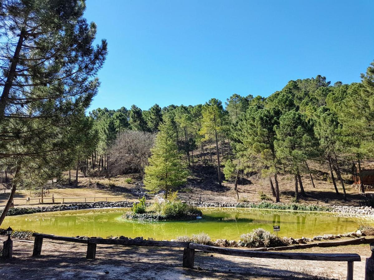 La Del En Zafiro Lagunazo Parque Natural Del Río Mundo Riópar