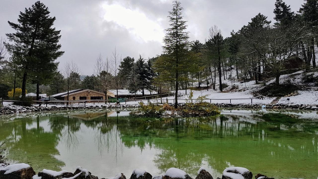 La Del En Zafiro Lagunazo Parque Natural Del Rio Mundo Chalet *