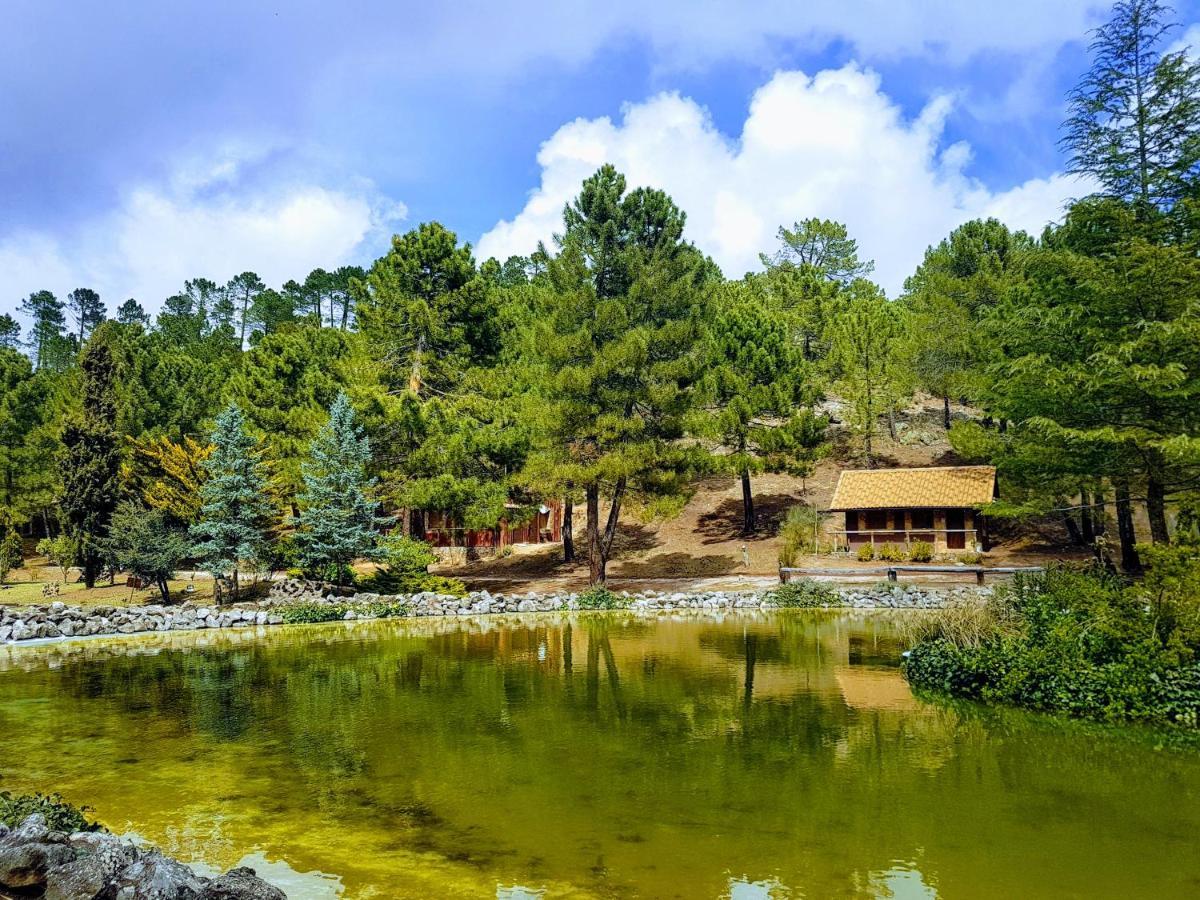 La Del En Zafiro Lagunazo Parque Natural Del Río Mundo * Riópar