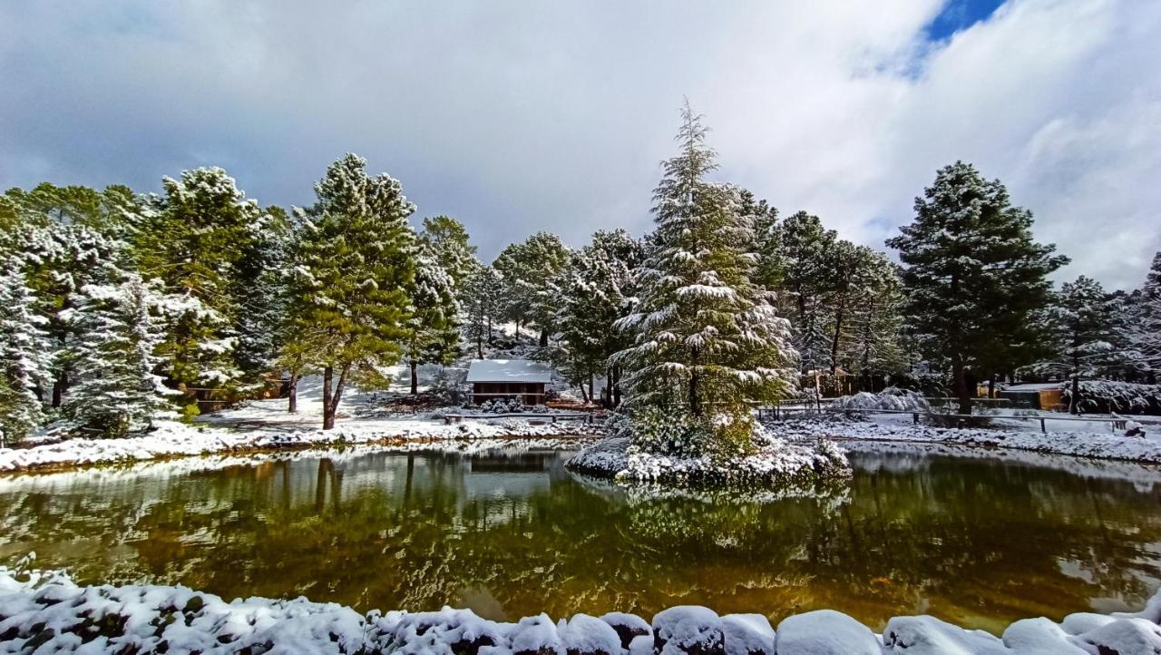La Del En Zafiro Lagunazo Parque Natural Del Río Mundo Riópar
